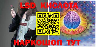 гидра Славгород