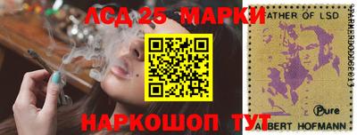 гидра Славгород