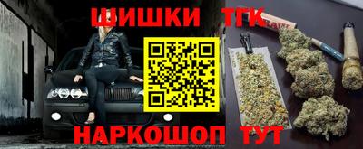 гидра Славгород
