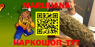 гидра Славгород