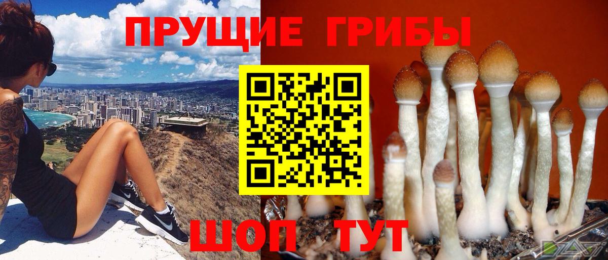 Полысаево  Галлюциногенные грибы MAGIC MUSHROOMS  Вход с VPN 