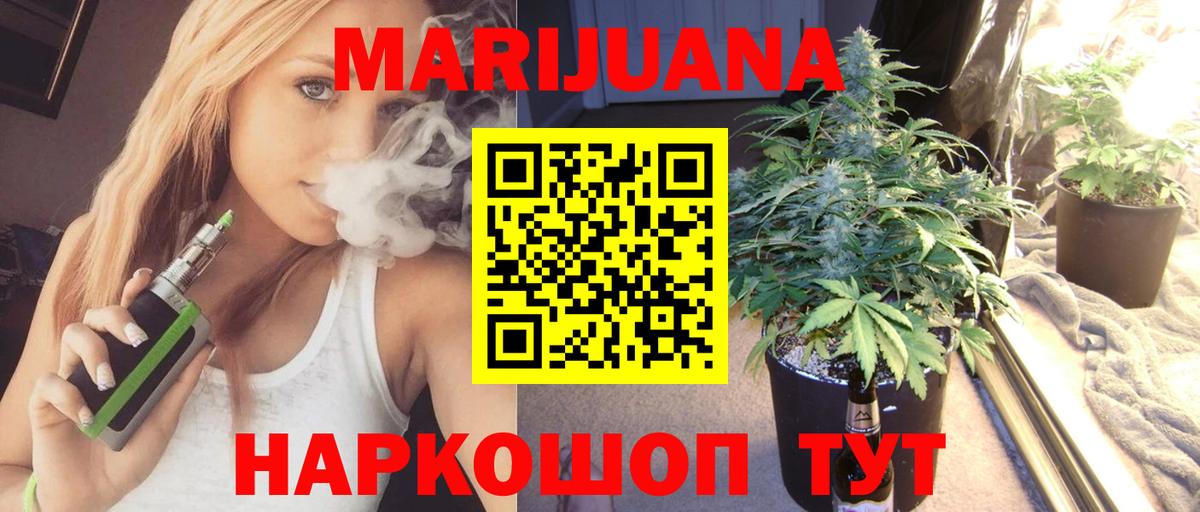 Конопля сатива Полысаево